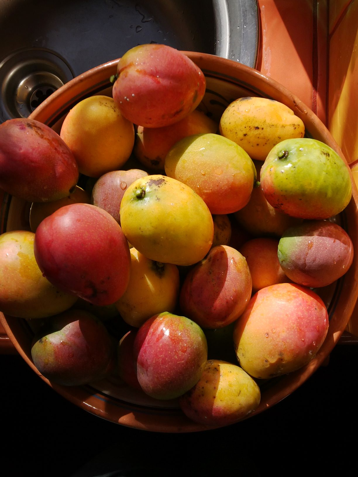 Einheimische Mangos aus Tajuya 