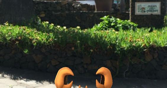 Pokémonmania auf La Palma